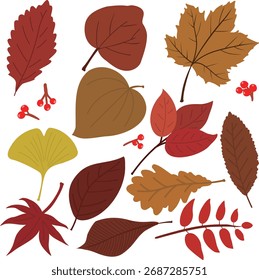 Las bonitas hojas del otoño