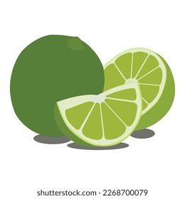 A pretty lemon fruit vector art work.