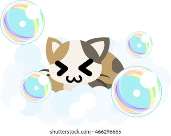 The pretty little cat in bath