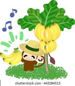 The pretty little monkey and a banana tree