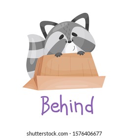 Pretty Little Raccoon Is Behind The Box With Handwritten Inscription Preposition Behind Vector Illustration Cartoon Character