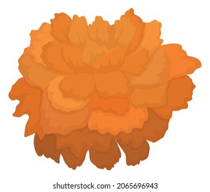 Pretty marigold flower also called cempasuchil flower in Mexican culture, in cartoon style and isolated over white background.