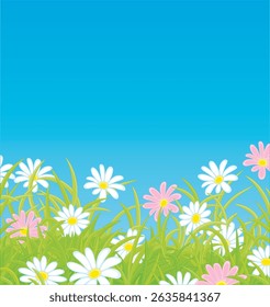 Prado bonito com margaridas brancas e cor-de-rosa entre grama verde em um dia de verão ensolarado, ilustração de desenhos animados vetoriais