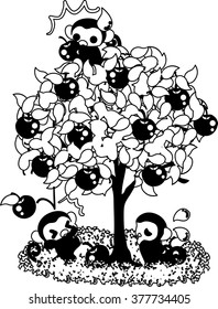 The pretty monkeys which the up harvests to an apple tree