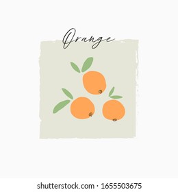 pretty orange citrus fruits doodle hand drawn simple cute vector illustration