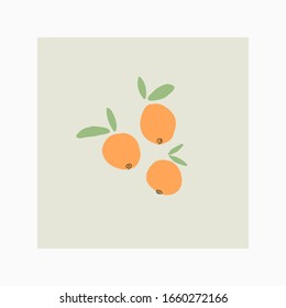 pretty orange citrus fruits doodle hand drawn simple cute vector illustration