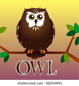 pretty owl on a tree