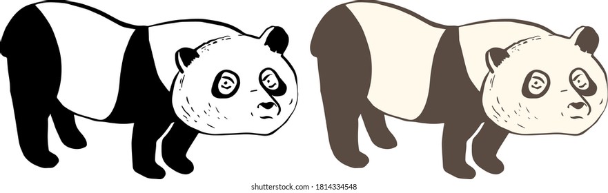 Bonito panda aislado en un fondo blanco