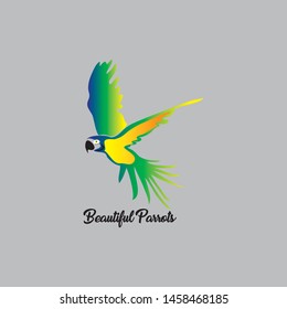 a pretty parrot simple vector with gray background