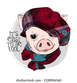Pretty pig with checkered cap and knitted scarf. Hand drawn illustration of dressed piggy. Vector illustration.