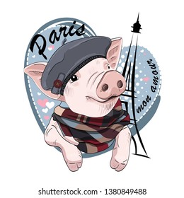 Pretty pig with gray hat, checkered scarf and Eiffel Tower. Vector illustration of dressed piggy in Paris.