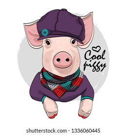 Pretty pig with violet hat and knitted scarf. Hand drawn illustration of cool dressed piggy. Vector illustration.