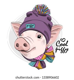 Pretty pig with violet knitted hat and knitted scarf. Hand drawn illustration of dressed piggy. Vector illustration.