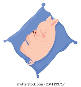 pretty piggy resting over pillow