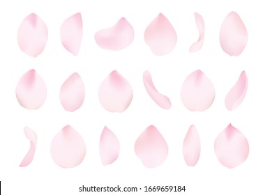 pretty  pink cherry blossoms petals set