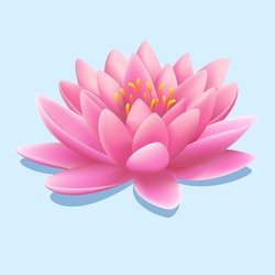 Pretty Pink Water Lily Or Lotus Flower With Drop Shadow Over A Gradient Grey Background, Vector Illustration