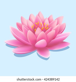 Pretty pink water lily or lotus flower with drop shadow over a gradient grey background, vector illustration