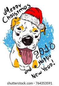 Pretty postcard with a bulldog face.
