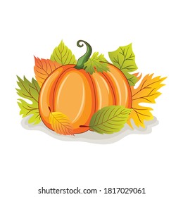 Pretty Pumpkin Vector illustration with Bouquets Harvest Autumn Fall leaves