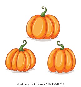 Pretty Pumpkin Vector illustration, isolated on white background