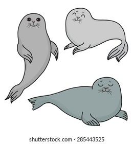 Pretty Seals isolated on white. Vector Set of marine mammal. Three seals in different poses.