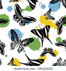 Pretty seamless butterfly kite template with blotter on white.  Season butterfly hover theme vector. Repeating insect soar backdrop for advertising.