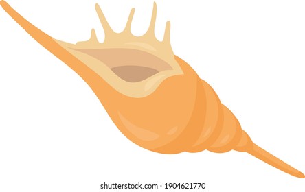 Pretty shell vector illustration on a white background.