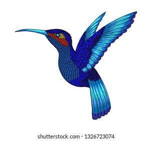 Pretty small hummingbird. Jacobin bird. Exotic tropical colibri animal element, icon or label. Sapphire and blue feathers. Use for wedding, party. Engraved hand drawn as old sketch.