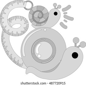 Pretty snails and a measure