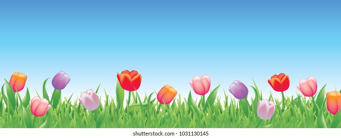 Pretty tulips for spring full vector banner