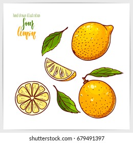 Pretty vector illustration of hand drawn colorful lemons.