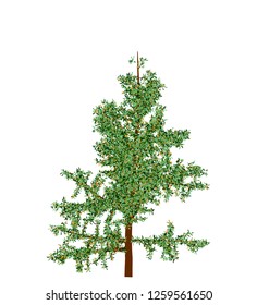 Pretty vector large tree with leaves