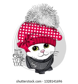 Pretty white cat with red hat and gray knitted  scarf. Hand drawn illustration of dressed cat. Vector illustration.