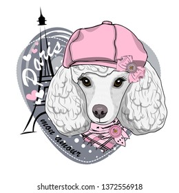 Pretty white dog with pink hat, bow, pink scarf and Eiffel Tower. Vector illustration of dressed poodle in Paris.