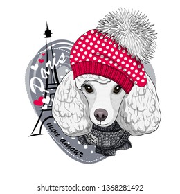 Pretty white dog with red hat, gray knitted scarf and Eiffel Tower. Vector illustration of dressed poodle in Paris.