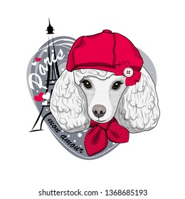 Pretty white dog with red hat, scarf and Eiffel Tower. Vector illustration of dressed poodle in Paris.