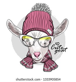 Pretty white goat with glasses, pink knitted hat and gray knitted  scarf. Hand drawn illustration of dressed goat. Vector illustration.