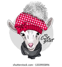 Pretty white goat with knitted hat, bow and gray knitted scarf. Hand drawn illustration of dressed goat. Vector illustration.