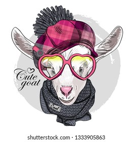 Pretty white goat with pink glasses, pink checkered cap and gray knitted  scarf. Hand drawn illustration of dressed goat. Vector illustration.