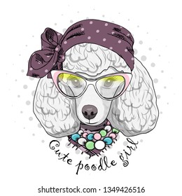 Pretty white poodle with glasses, turban, necklace and scarf. Hand drawn illustration of dressed dog.  Vector illustration.