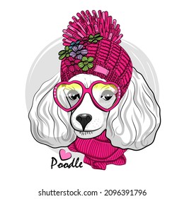 Caramelos bastante blancos con sombrero, gafas y bufanda rosa.  Ilustración vectorial del perro vestido. 