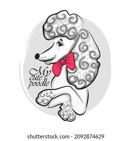 Pretty white poodle with pink bow.  Vector illustration of cute dog. 