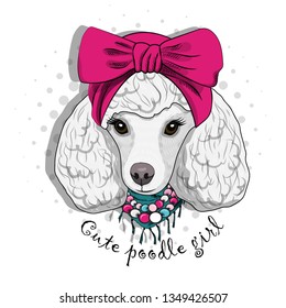 Pretty white poodle with pink turban, necklace and green scarf. Hand drawn illustration of dressed dog.  Vector illustration.