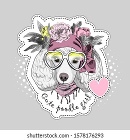 Pretty white poodle with wreath, glasses, flowers and scarf. Illustration of dressed dog.  Vector illustration.