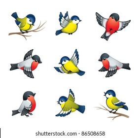 Pretty winter birds: tits and bullfinches. EPS8 vector format.