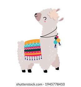 Pretty Wolly Llama or Alpaca Wearing Knitted Blanket with Tassel Walking Vector Illustration