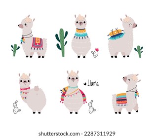 Pretty Wolly Llama or Alpaca Wearing Knitted Blanket in Different Pose Vector Set