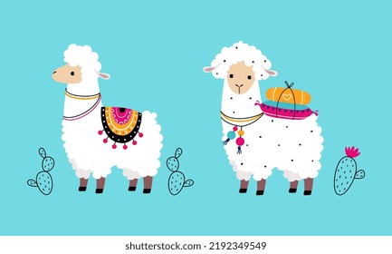 Pretty Wooly Llama or Alpaca Wearing Knitted Blanket Standing Vector Set