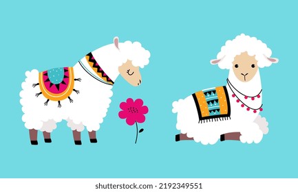 Pretty Wooly Llama or Alpaca Wearing Knitted Blanket Sitting and Standing Vector Set