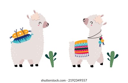 Pretty Wooly Llama or Alpaca Wearing Knitted Blanket Standing Vector Set